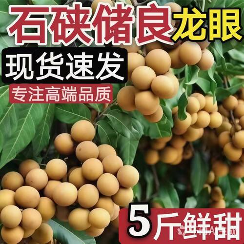 石硖储良龙眼甜价格实惠