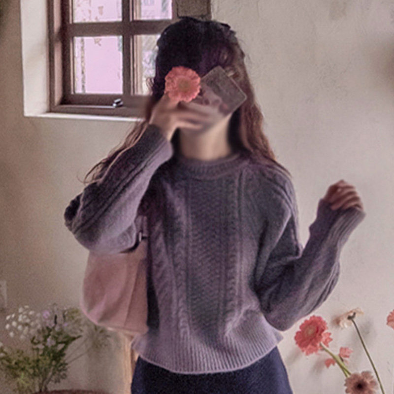 韩国代购直邮Leelin冬百搭时尚设计感麻花纹圆领宽松加厚长袖毛衣