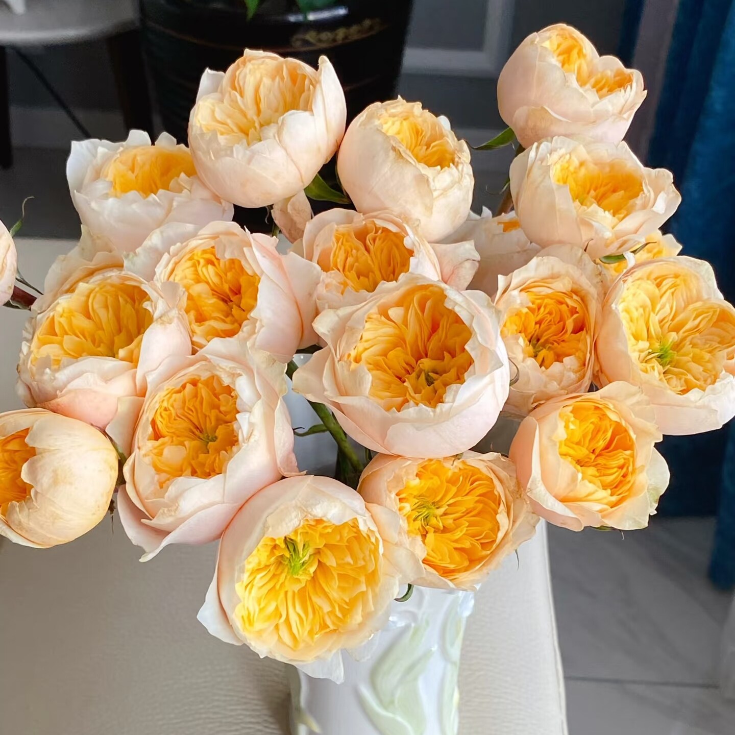 黄蝴蝶多头玫瑰鲜花云南直发图片