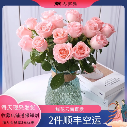 鲜花基地直发粉玫瑰水养批发