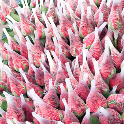 玫瑰花鲜花云南昆明基地直发红玫瑰花束求婚向日葵百合鲜切花顺丰