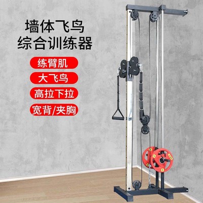 单边飞鸟高位下拉低拉龙门架