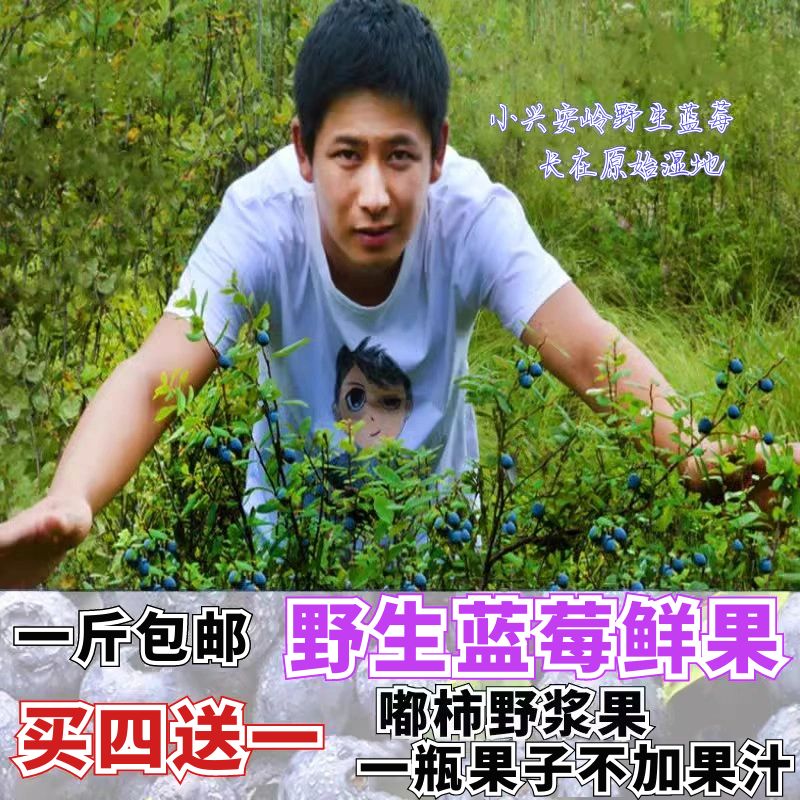 小兴安岭野生蓝莓果嘟柿果500g