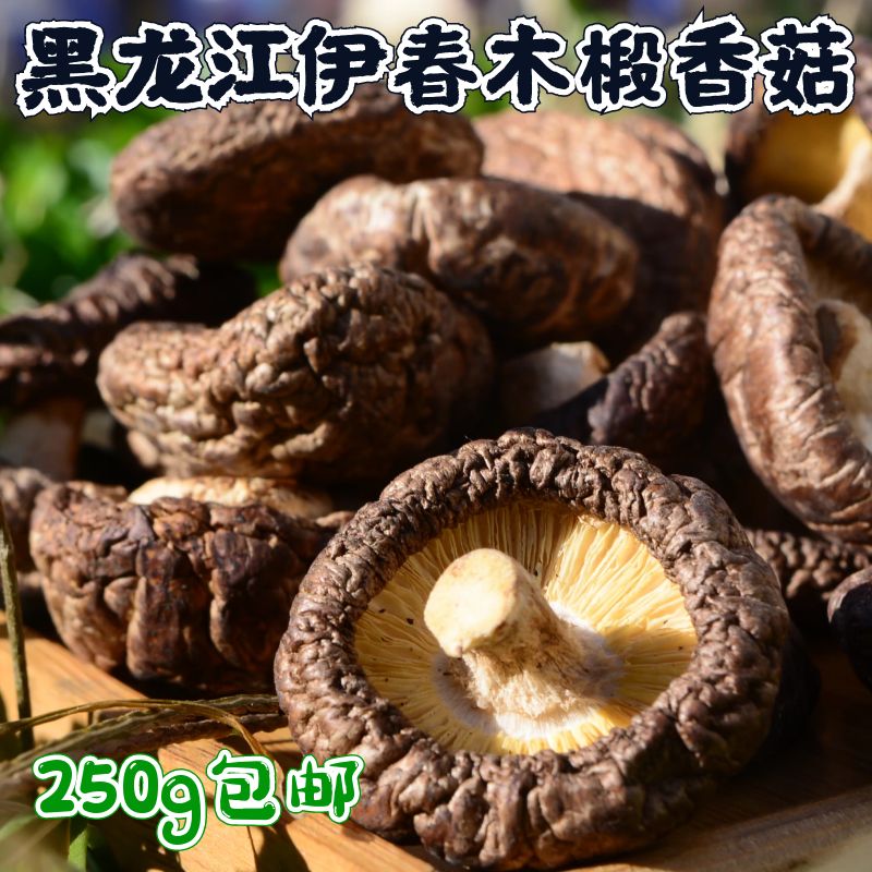 东北特产伊春林区香菇干货农家新货食用蘑菇金钱菇珍珠菇250g包邮