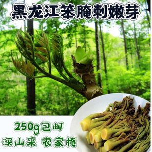 东北特产黑龙江伊春5月新鲜刺老芽刺嫩芽山野菜碘盐腌制500克 包邮