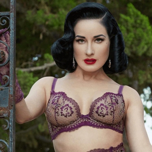 蒂塔DITA Evelina精致刺绣丰满大胸薄纱两色性感超薄文胸