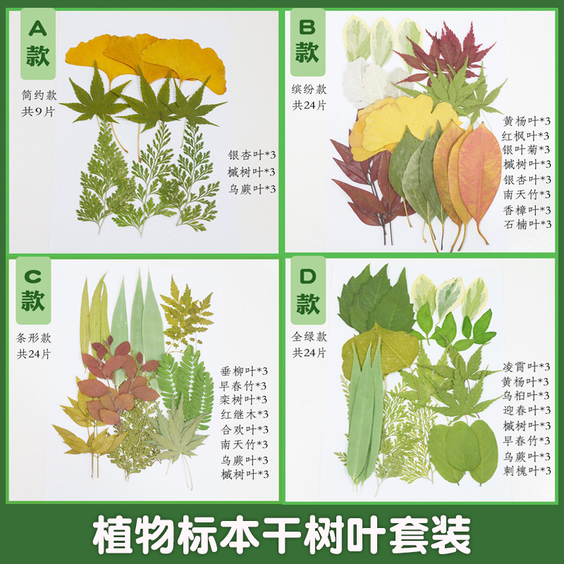 无品牌干叶子标本手工材料包