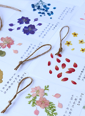 红楼梦古典诗词 植物花草干花真花书签 手工清新创意礼品毕业礼物