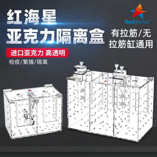 1XL内置海水鱼珊瑚隔离防打架 红海星隔离盒RF