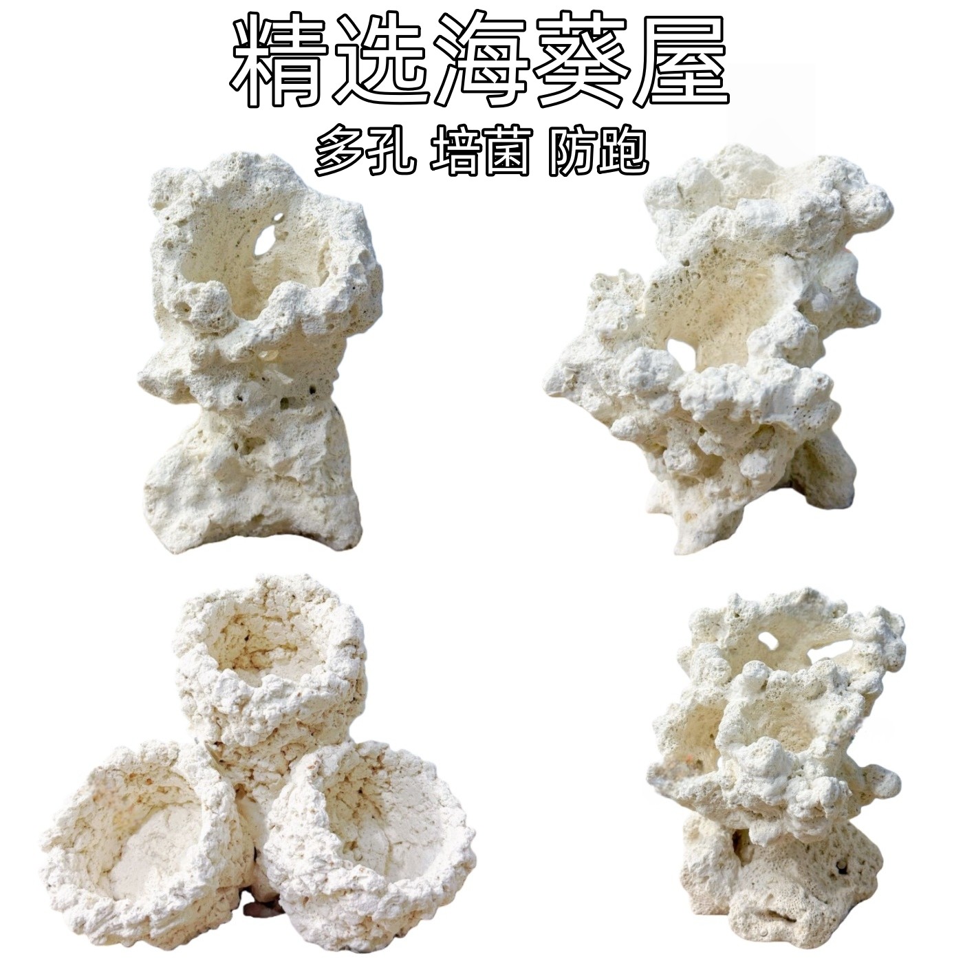 【植素源】海葵屋奶嘴杯防跑神器精陶烧制珊瑚海水缸造景装饰固定,宠物/宠物食品及用品,造景/装饰,淘宝优惠券,粉丝福利购,淘宝优惠卷