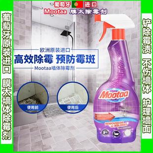 新品上市欧洲进口mootaa膜太除霉剂强效去除墙面霉斑污渍不伤墙体
