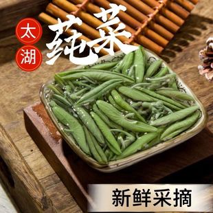 太湖叶莼菜320g袋装水八仙苏州特产马蹄草水葵烧汤清炒凉拌嫩芽菜