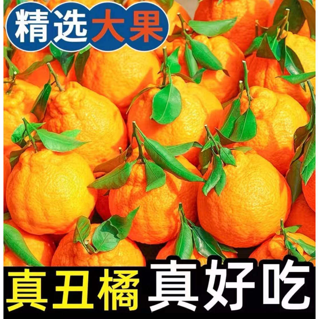 生态健康家人的味道自然脆甜爽口
