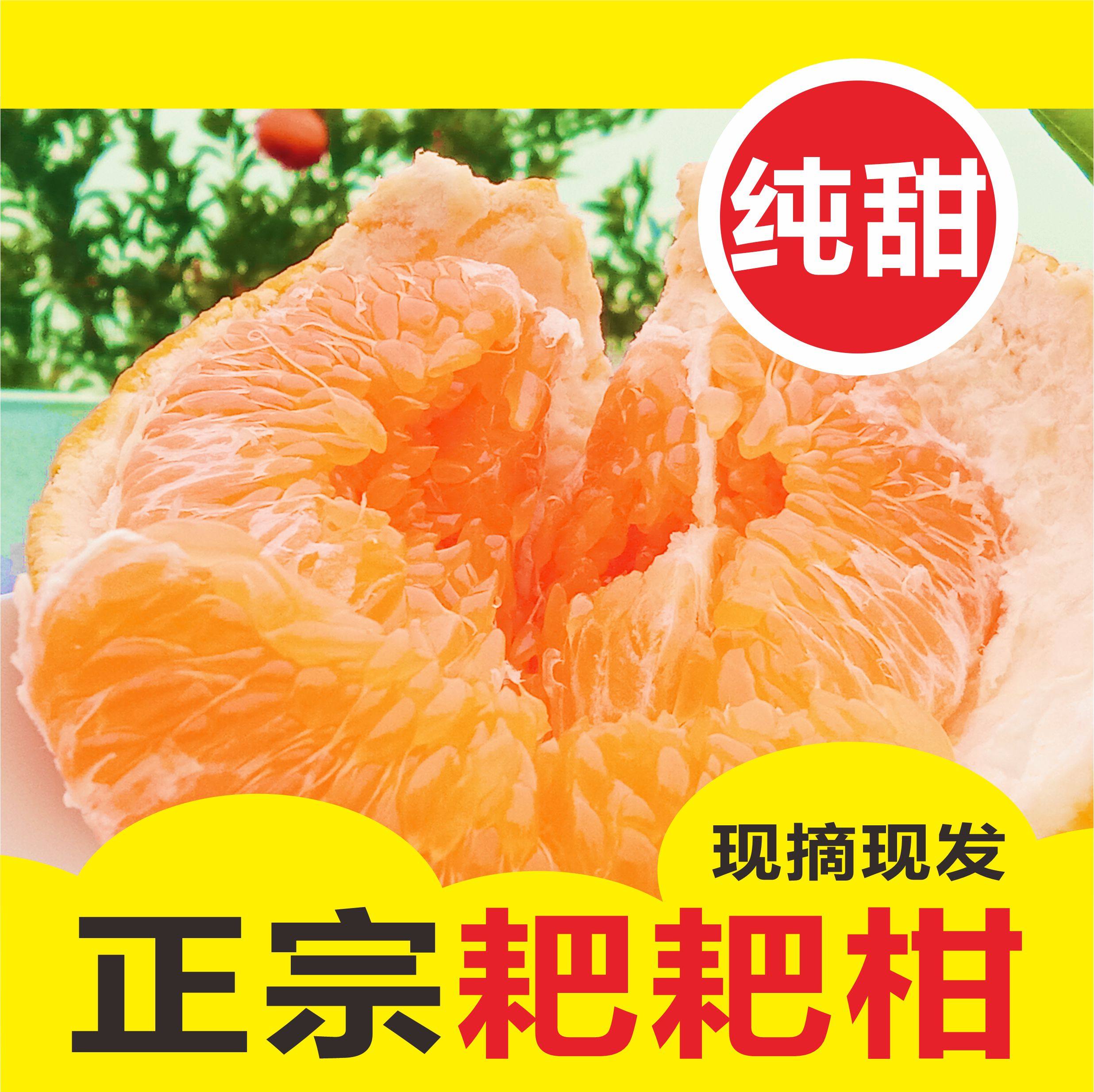 四川柑橘春见耙耙柑橙子当季新鲜水果现摘现发鲜果大果现发,水产肉类/新鲜蔬果/熟食,桔子,淘宝优惠券,粉丝福利购,淘宝优惠卷