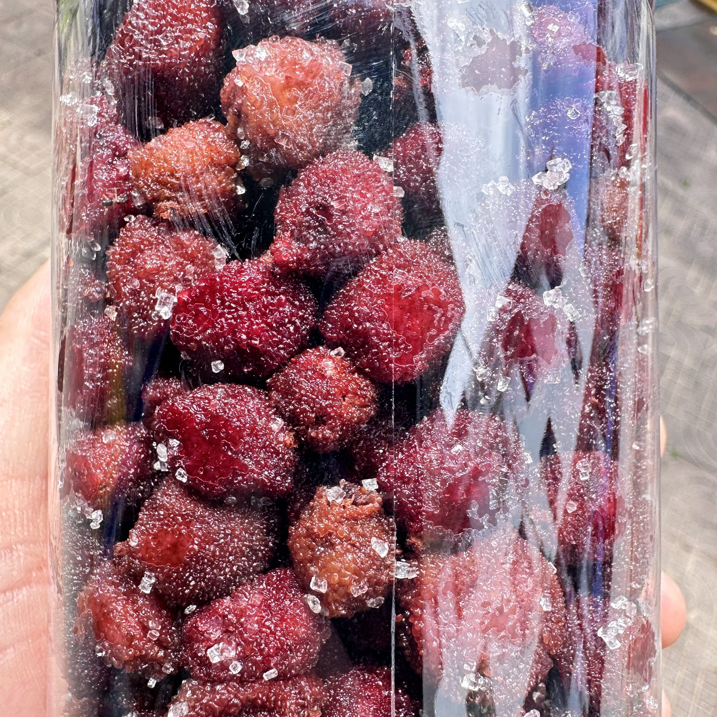 沙溪 野生杨梅干 三蒸三晒 江西永丰特产酸甜可口解腻解馋