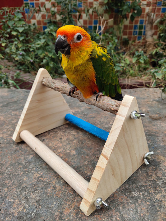 鹦鹉桌面训练架花椒木站架站棍原木站杆磨牙磨脚鸟用磨砂站棒秋千