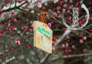 新春正品明治神宫蛇年 干支绘马许愿牌 祈愿祈福
