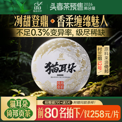 【2026头春预售】大黑树林倚邦贡茶《猫耳朵》古树普洱生茶饼357g