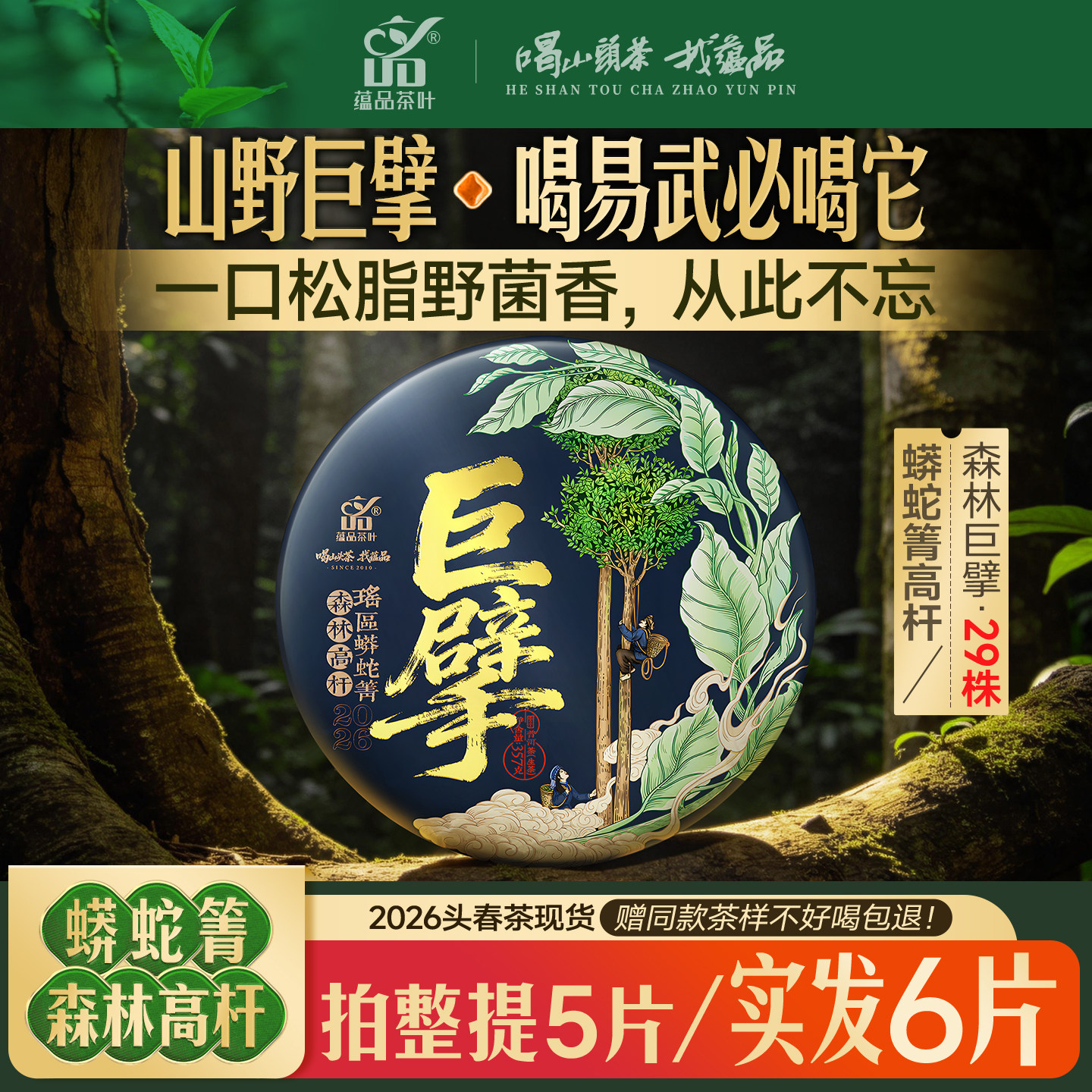 【库22】2026年头春茶《巨擘-蟒蛇箐》高杆单株古树普洱生茶357g