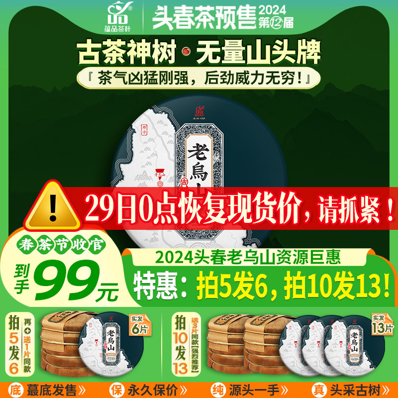 蕴品2024年头春老乌山普洱茶