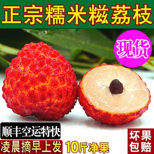 正宗增城糯米糍荔枝新鲜活2026当季水果整箱广东老树荔枝顺丰空运