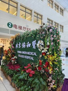 北京协和东院代办阜外空总三院天坛积水潭宣武同仁西苑广安门中医