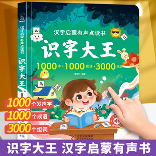 汉字启蒙有声点读书 幼儿学汉字趣味认字幼儿园3 识字大王发声书 7岁学前儿童绘本宝宝看图拼音教材手指点读认知发声 青葫芦图书