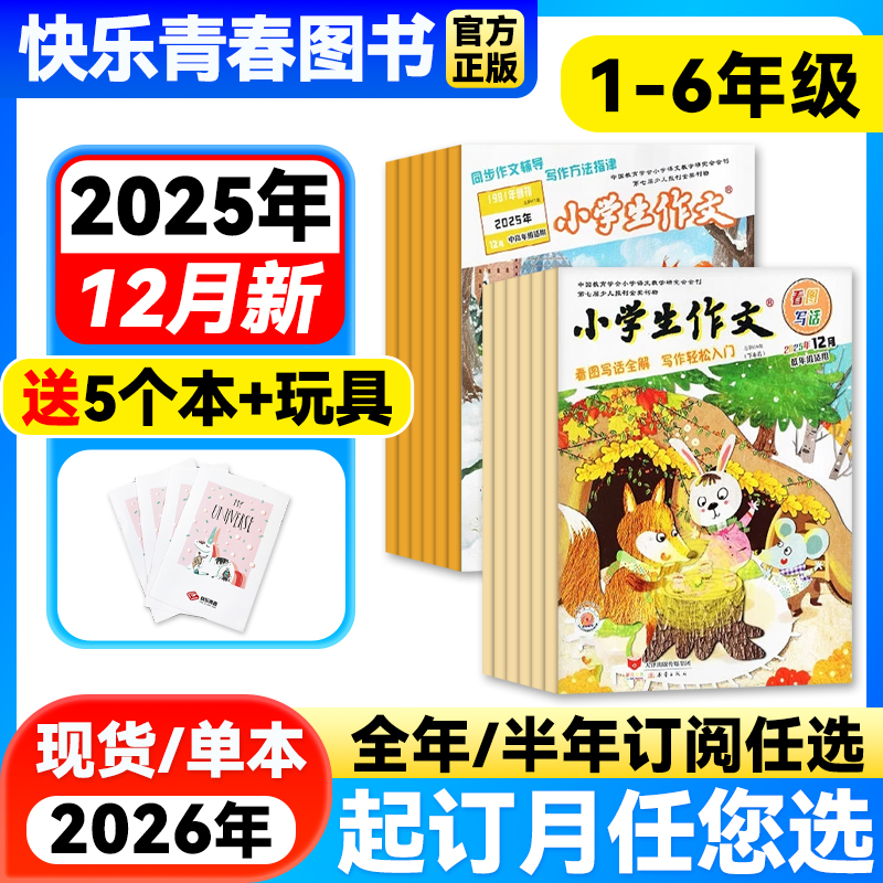 小学生杂志打包新蕾出版社