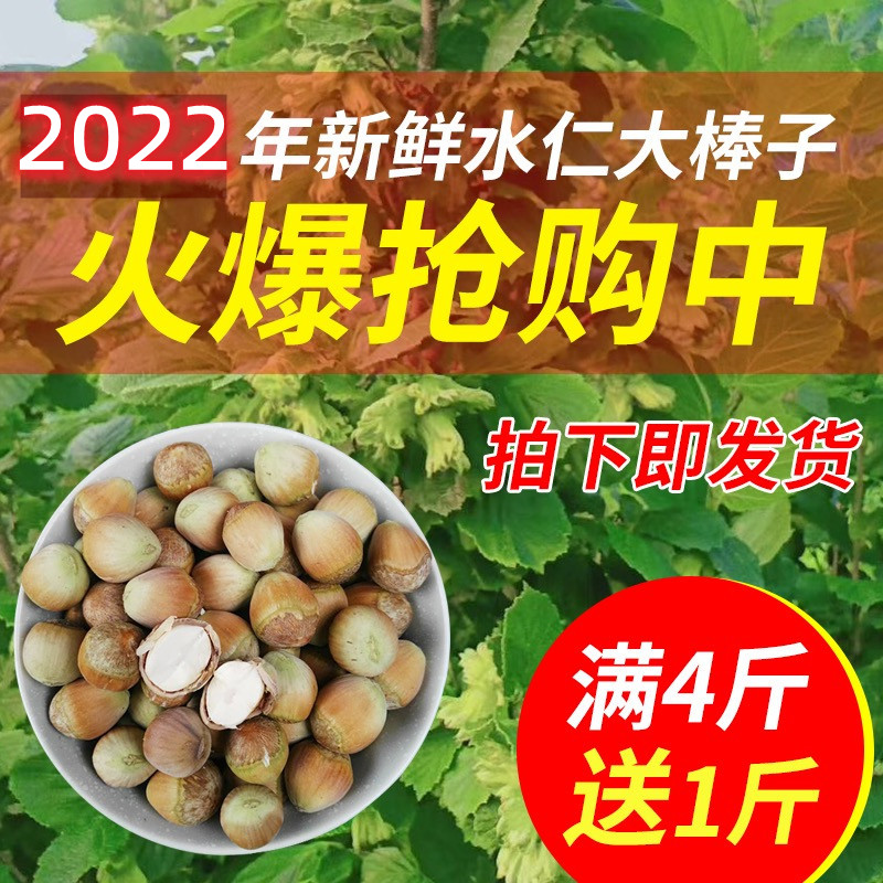 2022年新货青皮东北包邮生榛子