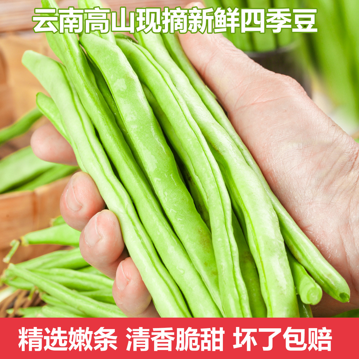 云南四季豆新鲜现摘油豆角露天芸豆非四角豆批发应季农家时令蔬菜