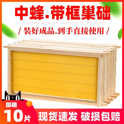 成品巢框蜜蜂专用工具大全全套