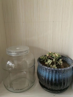 1500ml菌瓶组培玻璃瓶原种瓶耐高温透气密封瓶平菇香菇食用菌种瓶