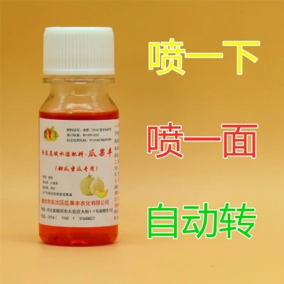 甜瓜坐瓜专用座果灵厚皮薄皮喷下
