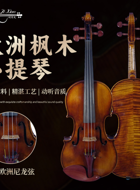 刘吉先博雅手工制作  学院乐团专业演奏级 对标5w的琴T756