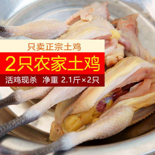 十二年品质老店正宗农家散养土鸡