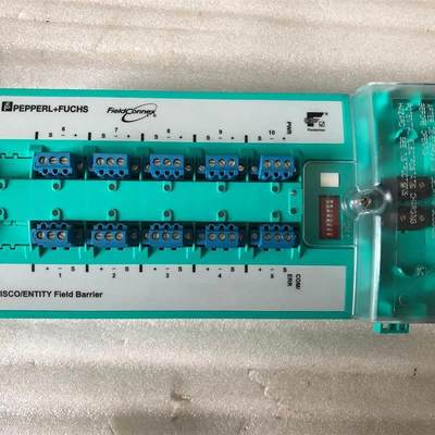 PEPPERL+FUCHS倍加福模块R4D0-FB-IA101 原装