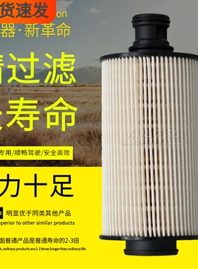 1105104E5233江淮解放轻卡1105010A-Q1064B柴油滤芯1105013D61E0