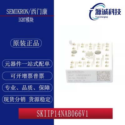 全新SKIIP14NAB066V1 SKIIP12NAB066V1 SKIIP11NAB066V1模块 询价