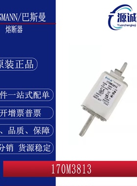 全新现货 巴斯曼 170M3813 170M3813D 熔断器 询价