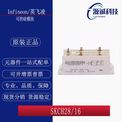 全新现货 西门康 SKCH28/16 S SKKH162/16E 整流桥模块 询价