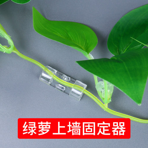 绿萝固定器挂墙藤蔓爬
