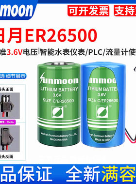 日月ER26500燃气表流量计