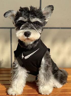 狗狗衣服春夏防晒衣网眼背心猫咪泰迪比熊博美巨贵雪纳瑞小狗短袖