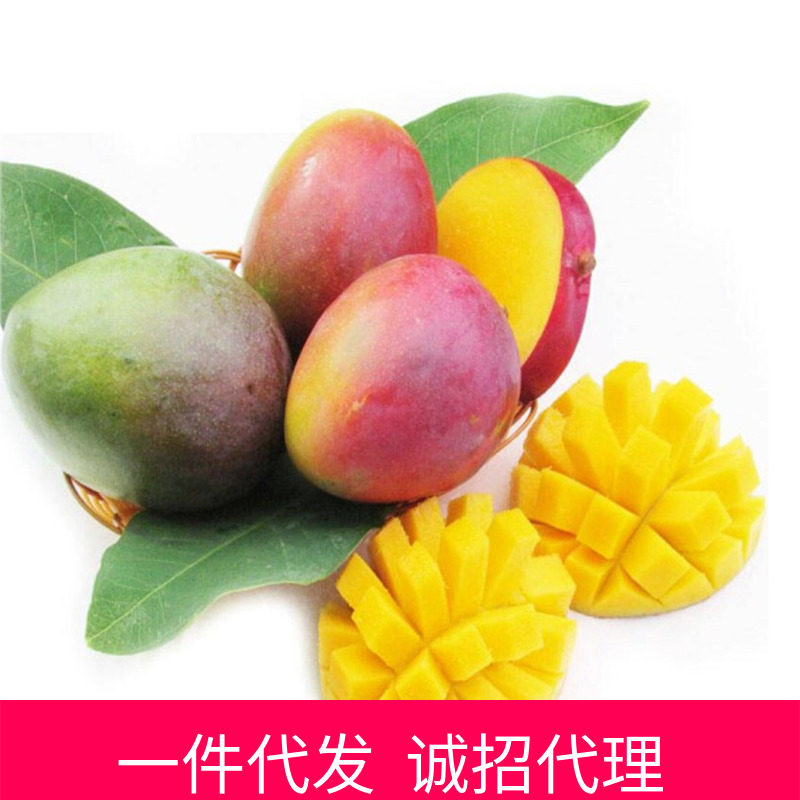 四川攀枝花吉祿芒果 5斤裝中果 單果150-400g