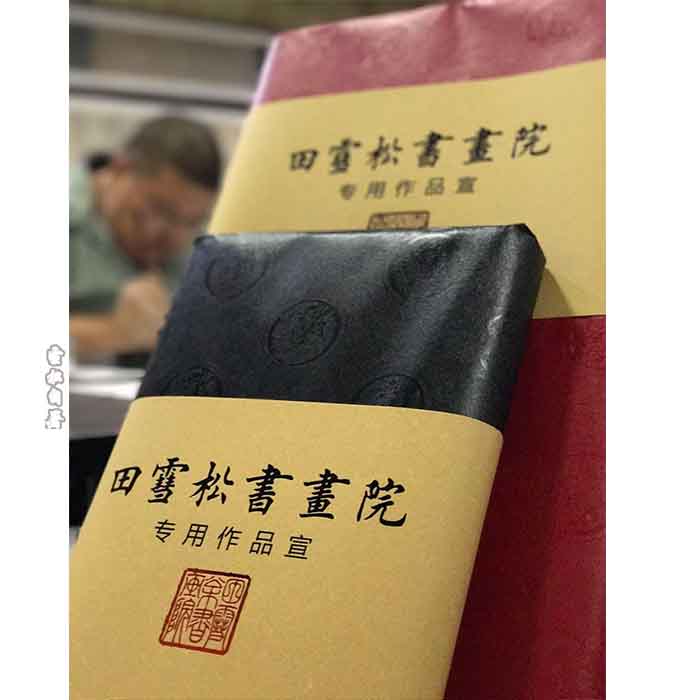 田雪松书画院全新改版升级宣安徽