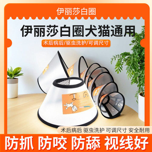 伊丽莎白圈猫咪狗狗脖套