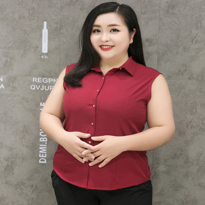 打底衬衫内搭女早春季2023设计感小众高级感新款长袖上衣白色衬衣