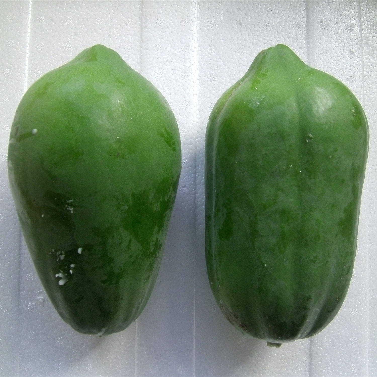 广西新鲜青木瓜 green papaya 煲汤木瓜沙拉凉拌 生木瓜5斤包邮