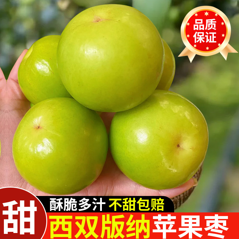 云南西双版纳苹果枣大果新鲜大青枣5斤新鲜冬枣大枣水果脆甜枣子