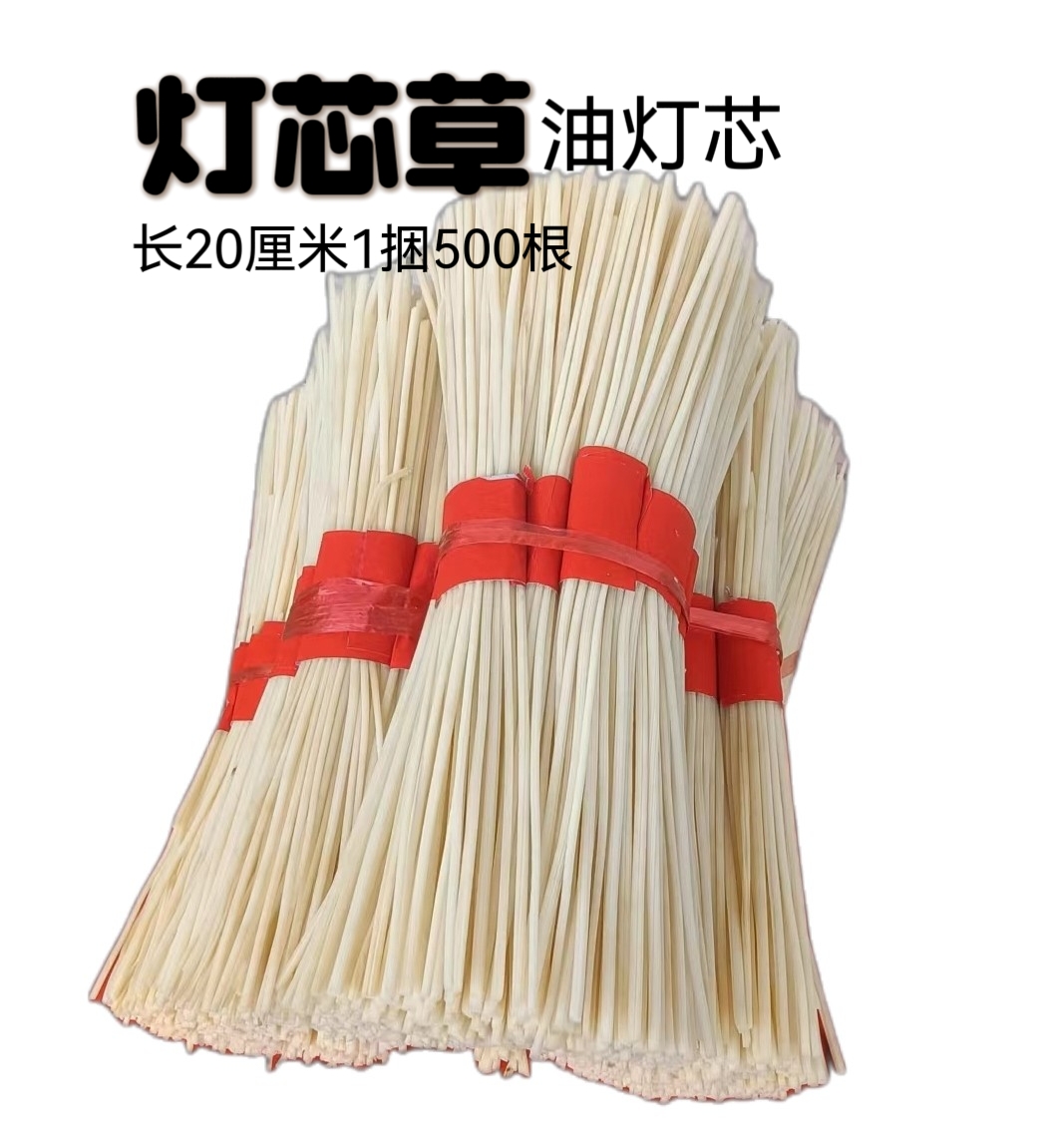 燈芯草油燈芯供佛1件10小捆500根供佛燈心草點燈植物油液體酥油